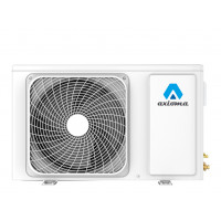 Axioma ASB12DZ1R Серия D Inverter